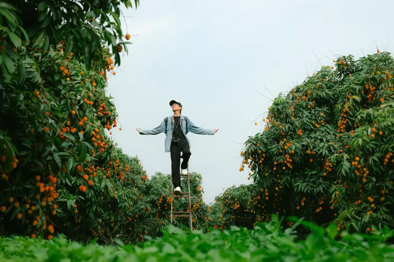 上海高端公寓租赁服务解析:精装房源与企业宿舍的定制化方案