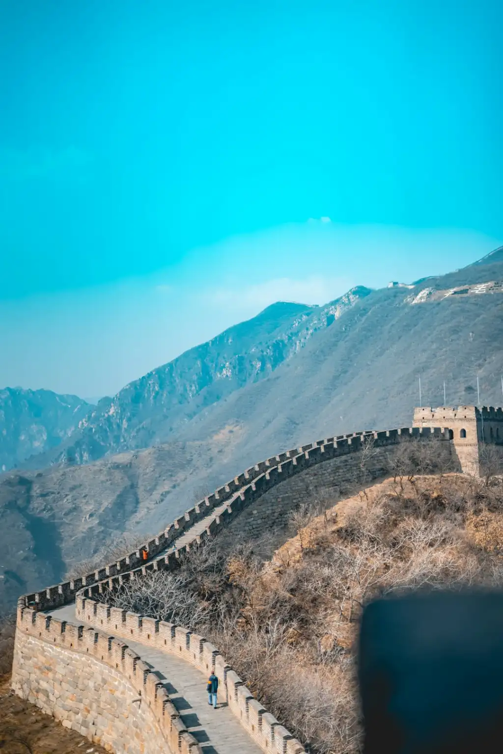 上海高端公寓租赁市场新趋势：精装房源与企业宿舍需求同步攀升